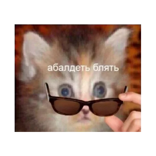 Sticker Любимые стики майанеза 2 by @fStikBot - 5