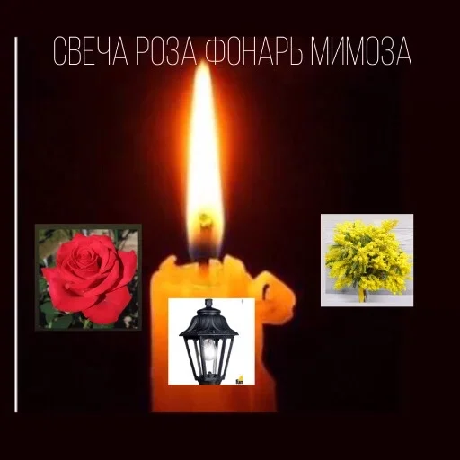 Sticker Любимые стики майанеза 2 by @fStikBot - 0