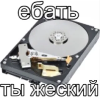 Sticker main stickers - 8