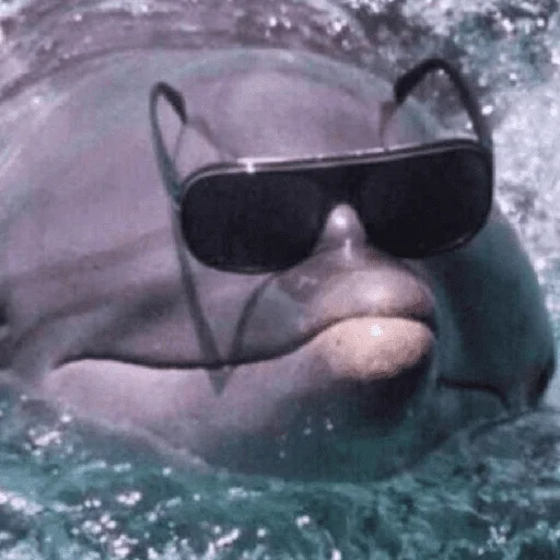 Стикер makabr_memabr - 1