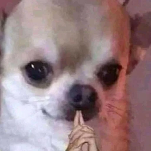 Стикер makabr_memabr - 1