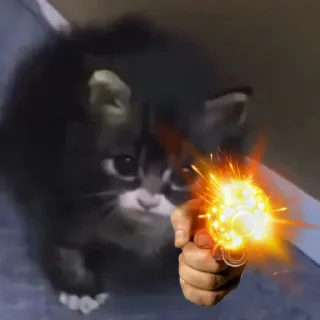 Стикер Пляска котиков @makabr_memabr - 6