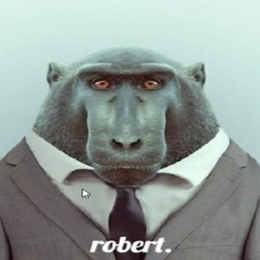 обезьяны @vladwerrdesign - 