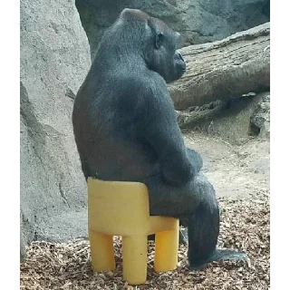 Sticker обезьяны @vladwerrdesign - 6