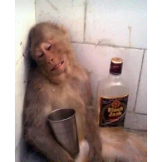 Sticker обезьяны @vladwerrdesign - 8