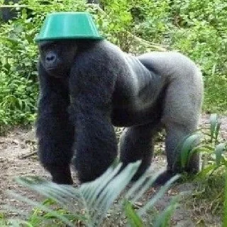 Sticker обезьяны @vladwerrdesign - 11