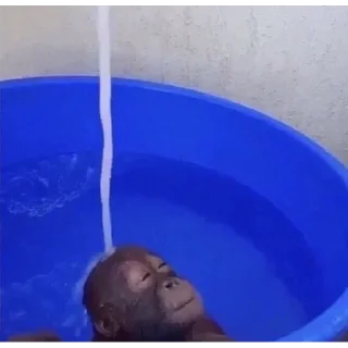 Sticker обезьяны @vladwerrdesign - 7