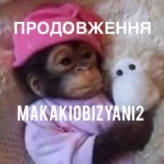 Sticker Макакі і обізяни - 6