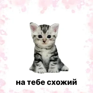 Sticker кохайтеся любі - 7