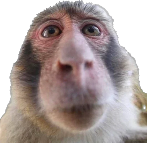 Стикер makikaki22 - 1