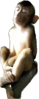 Стикер makaki - 11