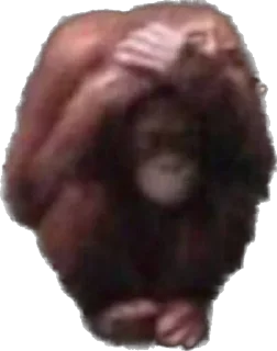 Стикер makaki - 2