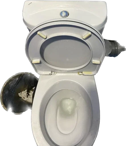 Стикер maksimjohns - 1