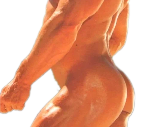 muscle stomach chest