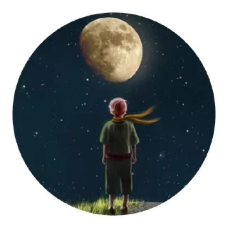 Стикер The Little Prince @stickersb2b - 6