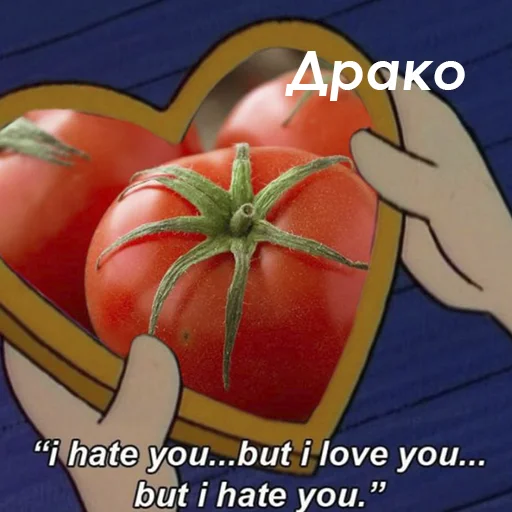 овощ помидор натуральные продукты