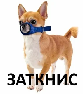 Стикер malo_chital - 6