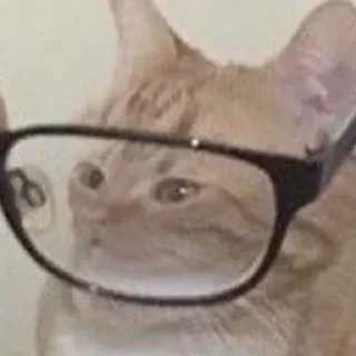 Стикер malo_chital - 3