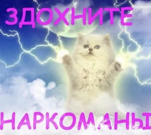 Sticker malo_znal - 1