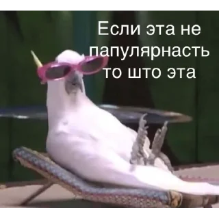 Стикер fav - 4