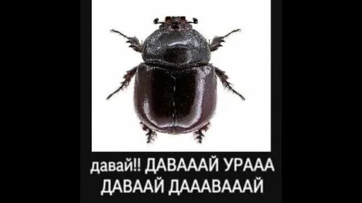 Стикер mamkivladika - 1