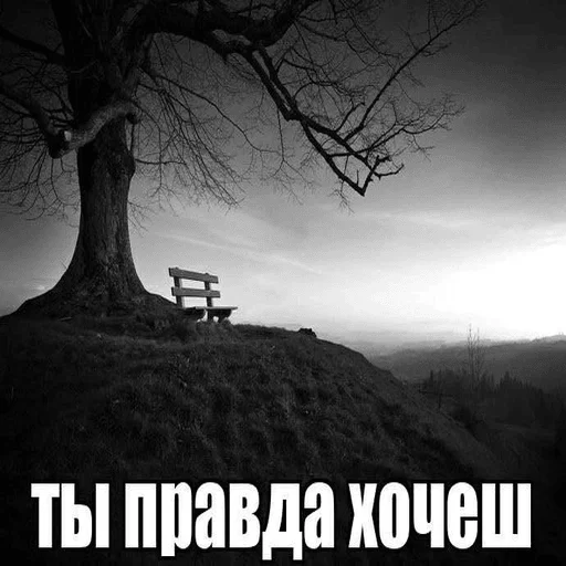 Стикер mamma_ya_pokakal - 1