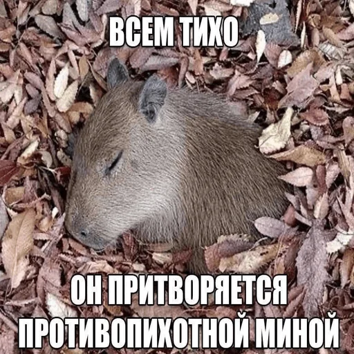 Стикер mamma_ya_pokakal - 1