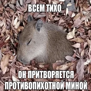 Sticker Ватафак - 3