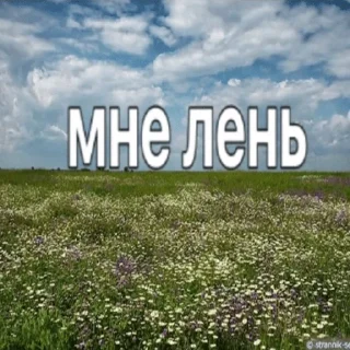 Sticker Ватафак - 5