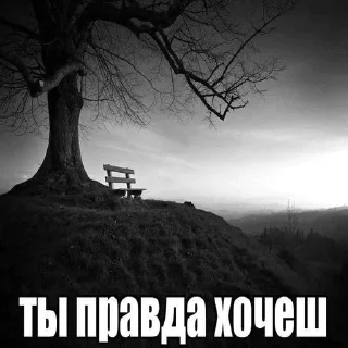 Sticker Ватафак - 8