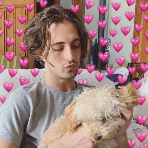 Человек животное домашнее животное