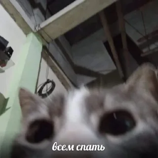 Sticker эстетика клинкор - 0