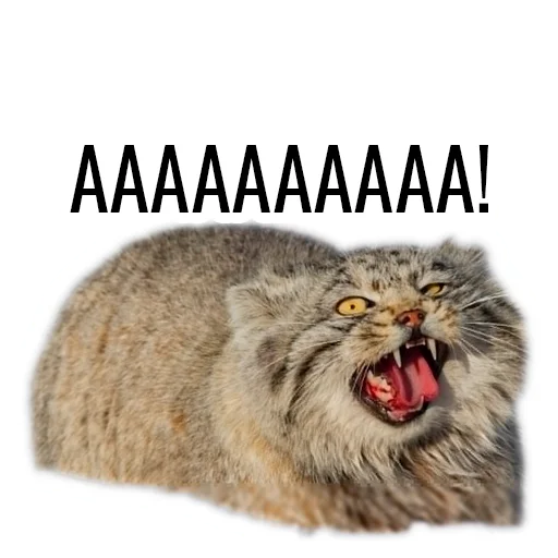 Sticker manul_pack - 1