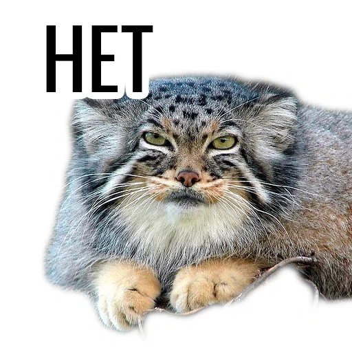 Стикер manul_pack - 1