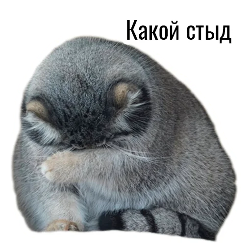 Sticker manul_pack - 1