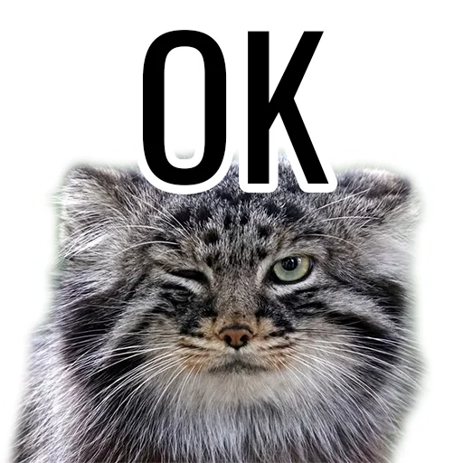 Стикер manul_pack - 1