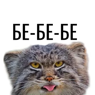 Стикер Манул - 0