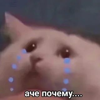 Стикер manynanias - 9