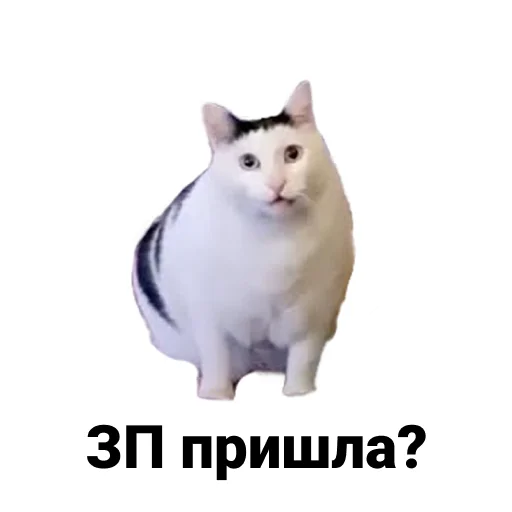 Sticker Ну шо? - 10