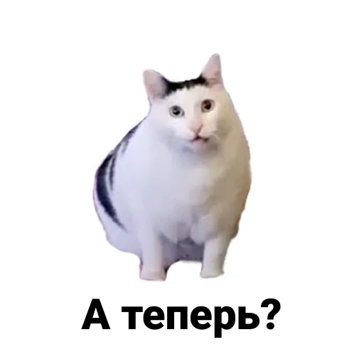 Sticker Ну шо? - 9