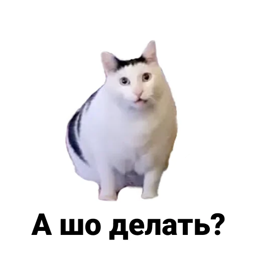 Sticker Ну шо? - 7