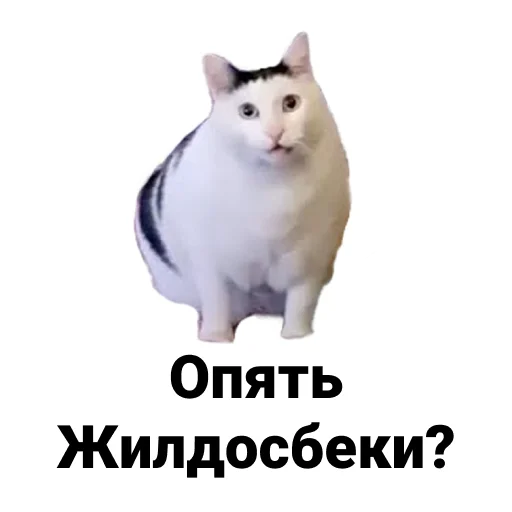 Sticker Ну шо? - 6
