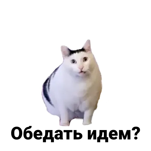 Sticker Ну шо? - 5