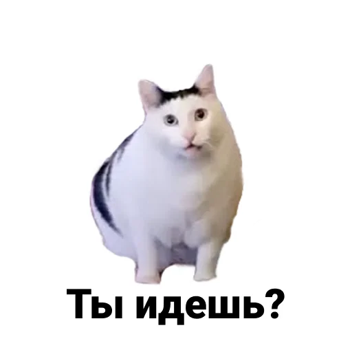 Sticker Ну шо? - 4
