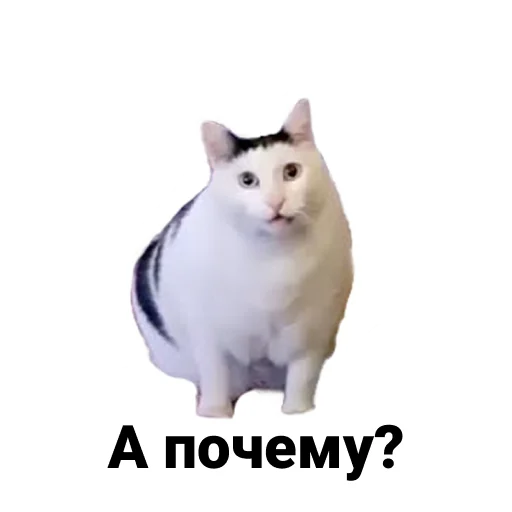 Sticker Ну шо? - 3