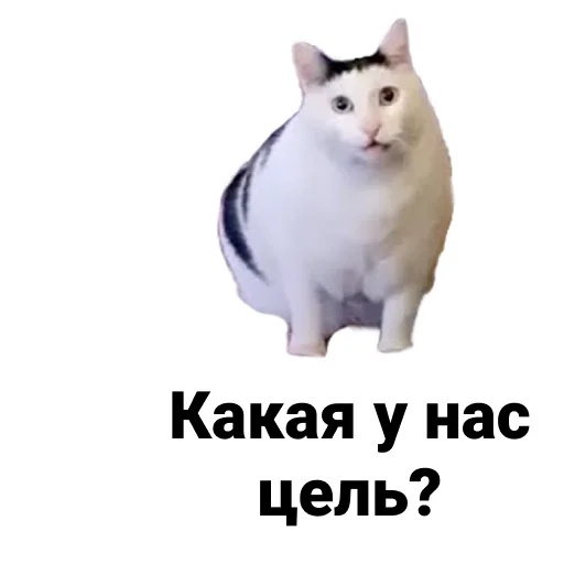Sticker Ну шо? - 1