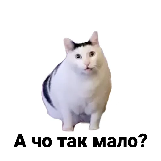 Sticker Ну шо? - 0