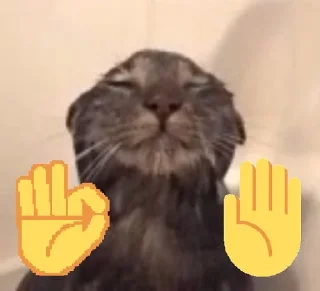 Стикер Kitties - 11