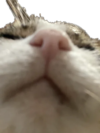 маркетолог - 