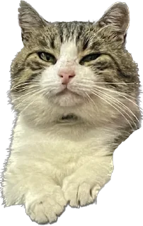 Sticker маркетолог - 3